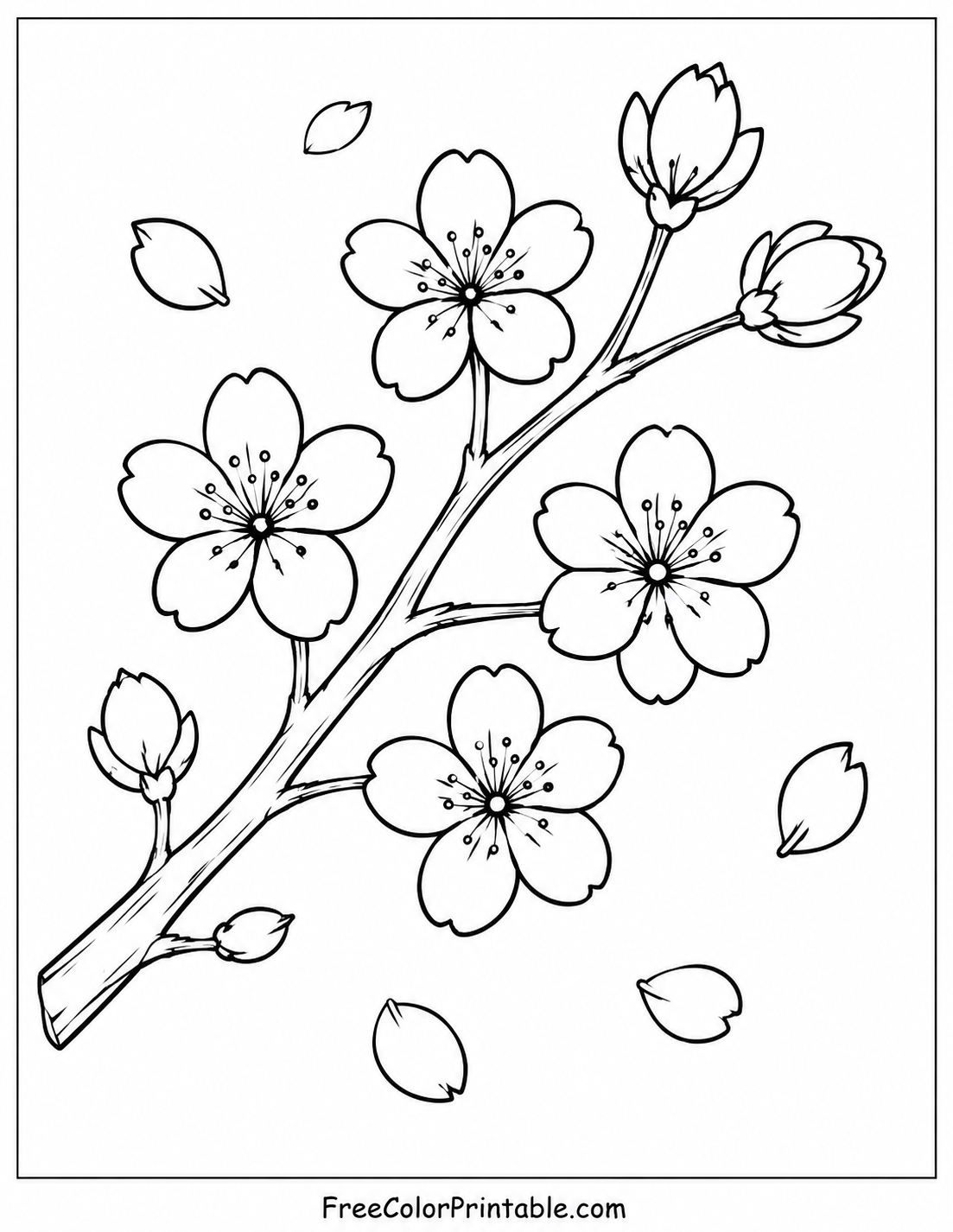 Sakura branch with falling petals Coloring Page — Free Printable — free printable coloring page
